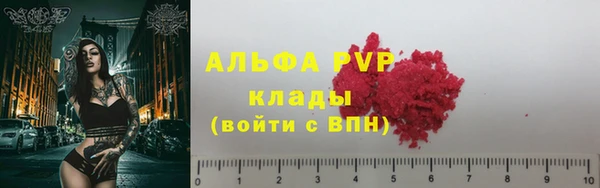 стафф Каменск-Шахтинский