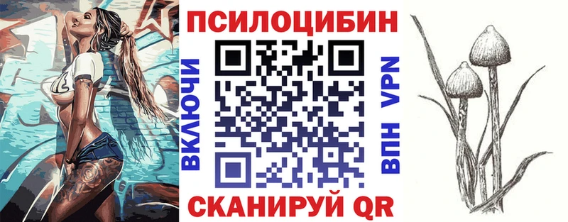 Купить где  Венёв  Псилоцибиновые грибы Psilocybine cubensis 